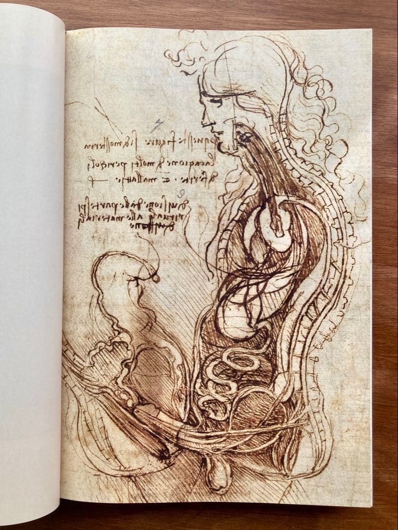 レオナルド・ダ・ヴィンチ 全絵画作品・素描集