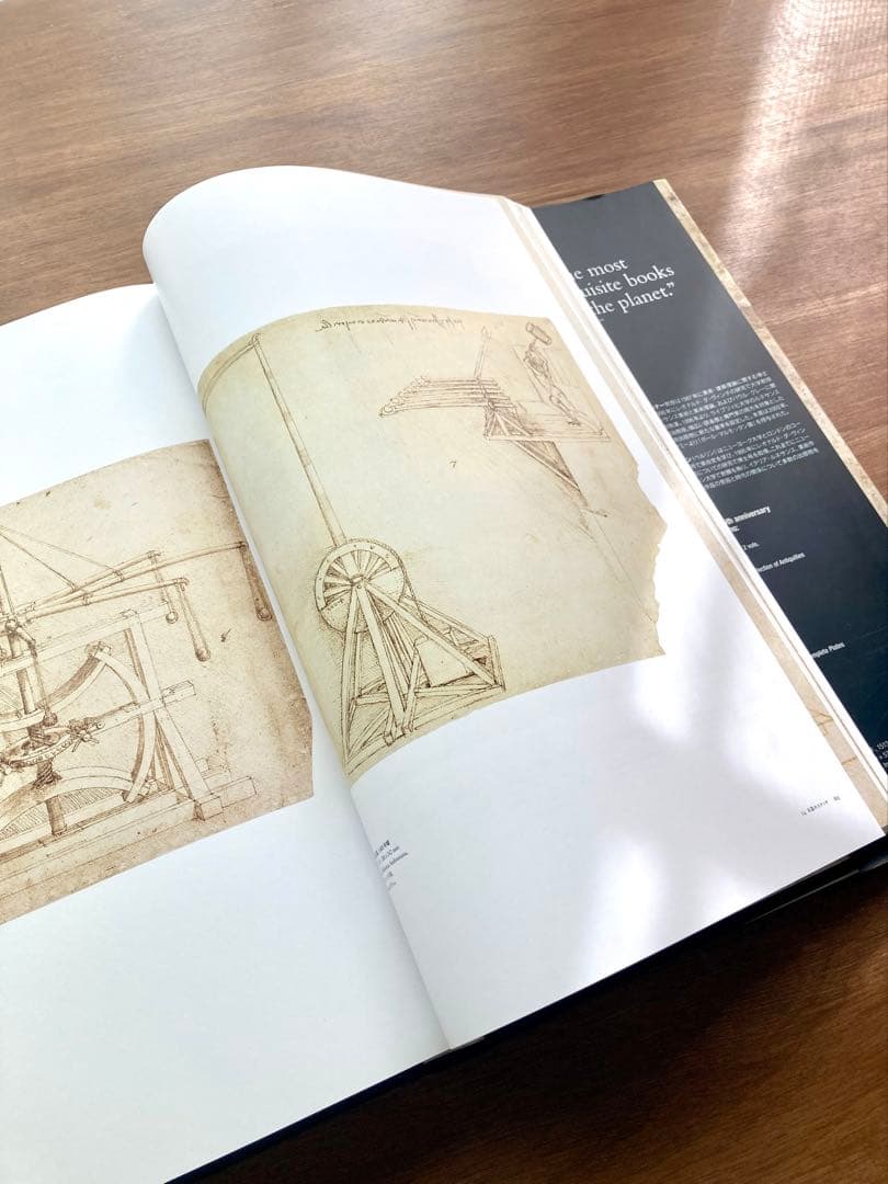 レオナルド・ダ・ヴィンチ 全絵画作品・素描集