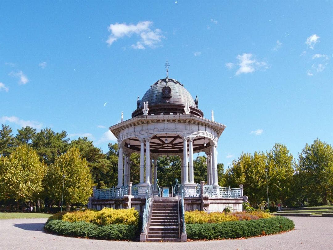 rareさまご購入予定品　Nikon F100 標準ズームレンズ付き