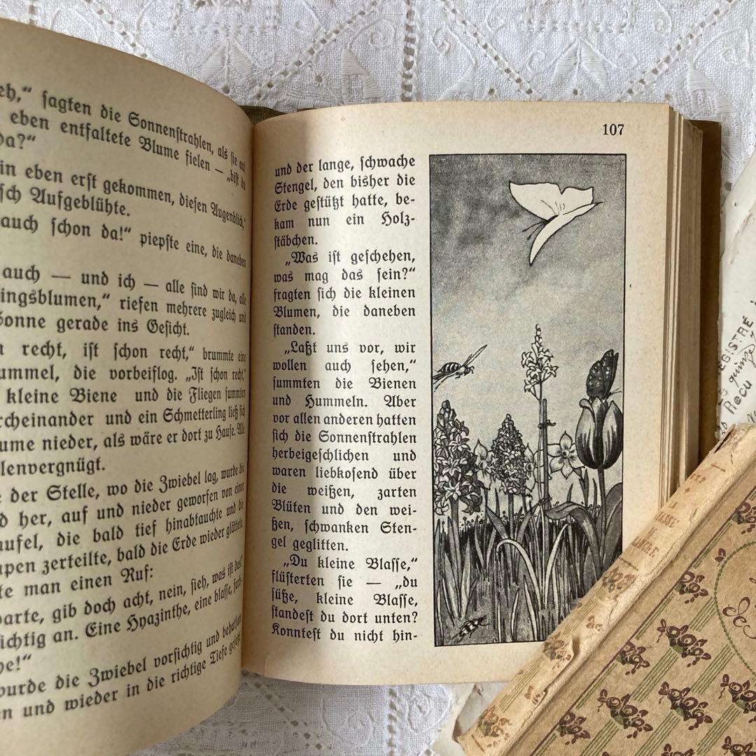 L850洋書　1925年発行　ドイツのアンティーク古書　 花のおとぎ話