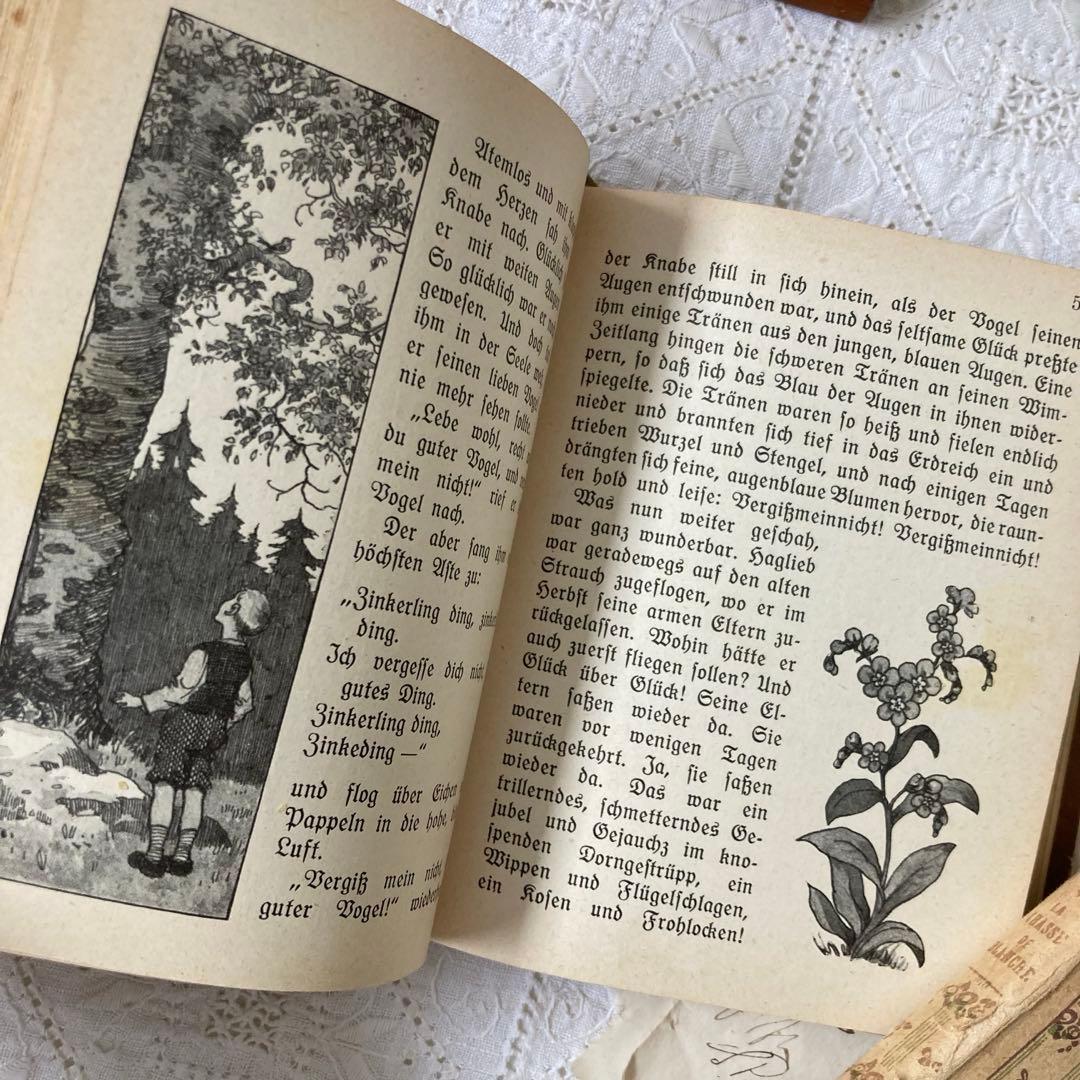 L850洋書　1925年発行　ドイツのアンティーク古書　 花のおとぎ話