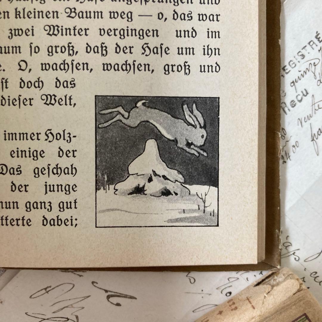 L850洋書　1925年発行　ドイツのアンティーク古書　 花のおとぎ話