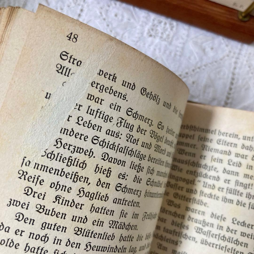 L850洋書　1925年発行　ドイツのアンティーク古書　 花のおとぎ話