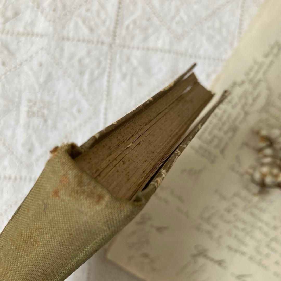 L850洋書　1925年発行　ドイツのアンティーク古書　 花のおとぎ話