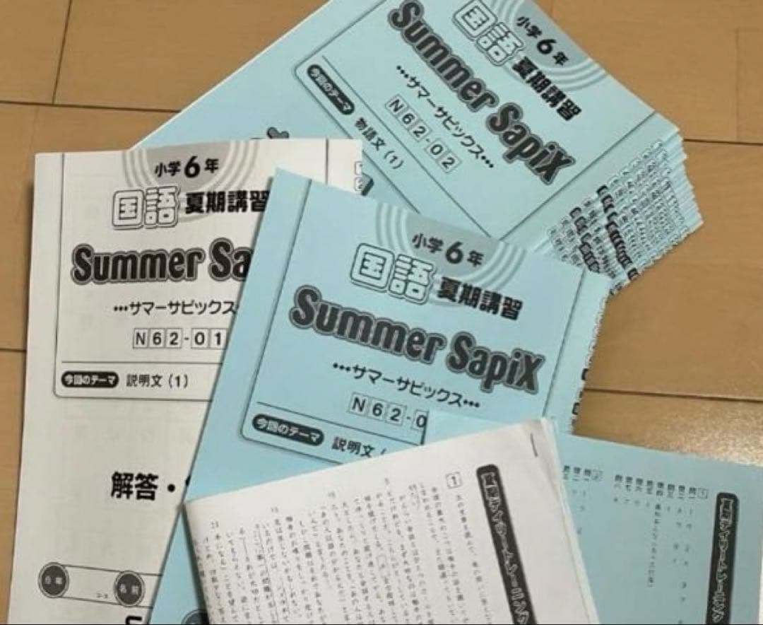 小6 国語 デイリーサピックス 24回分+春期講習•夏期講習 ウィークリーサピ他