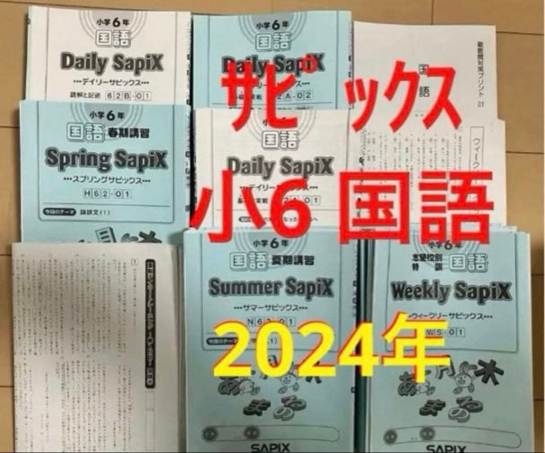 小6 国語 デイリーサピックス 24回分+春期講習•夏期講習 ウィークリーサピ他