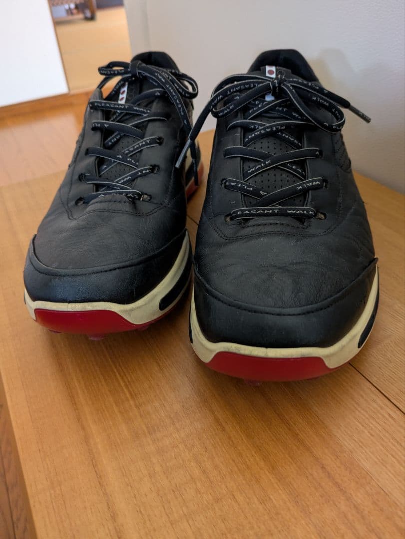 ECCO GORE-TEX スパイクレスゴルフシューズ 黒　44/28㌢