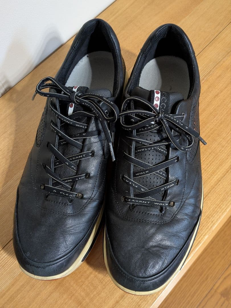 ECCO GORE-TEX スパイクレスゴルフシューズ 黒　44/28㌢