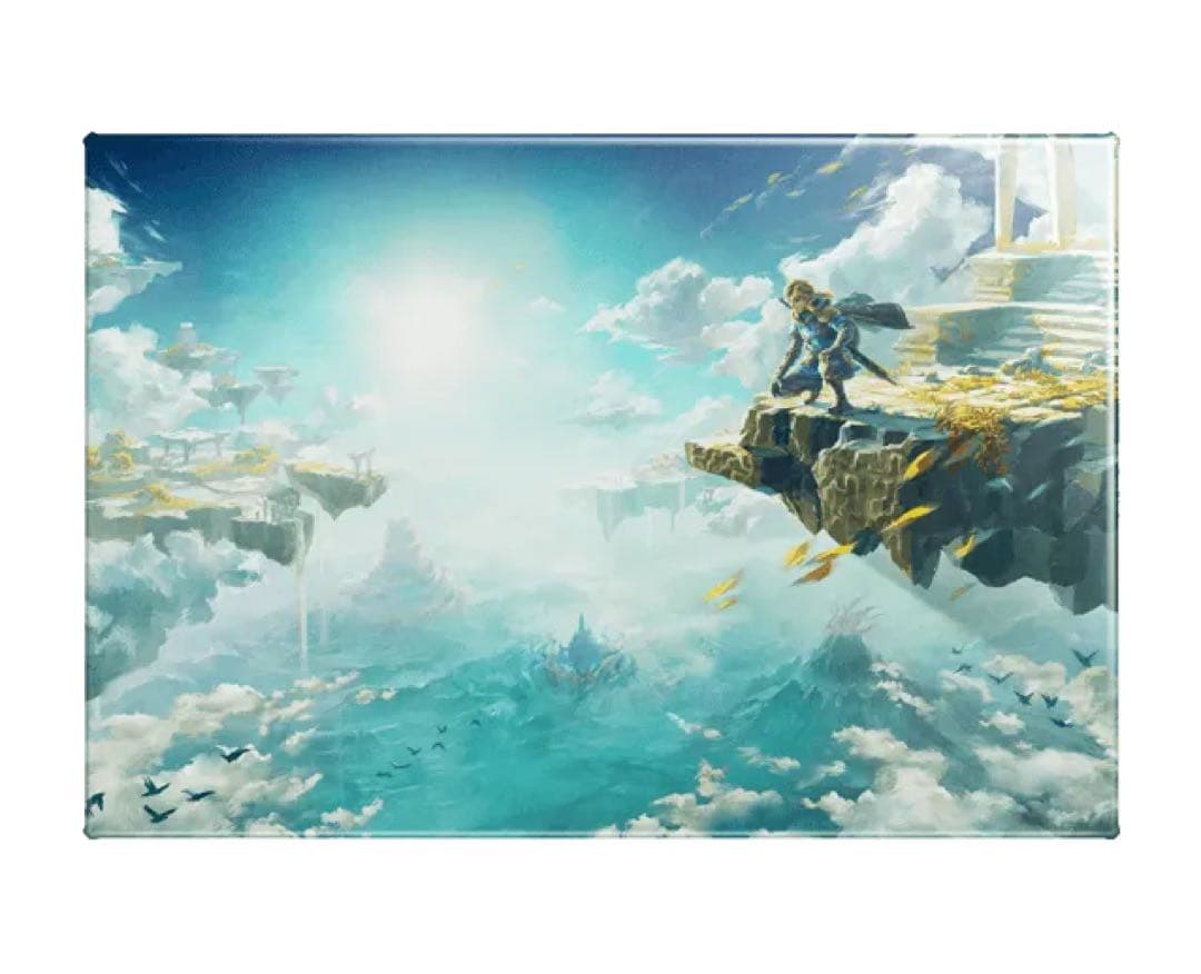 新品　ゼルダの伝説　ティアーズ　オブ　ザ　キングダム　コレクターズ エディション