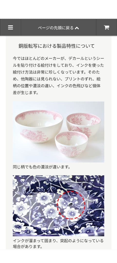 【新品・未使用】Burleigh ビクトリアンチンツ 21.5cmプレート2枚組