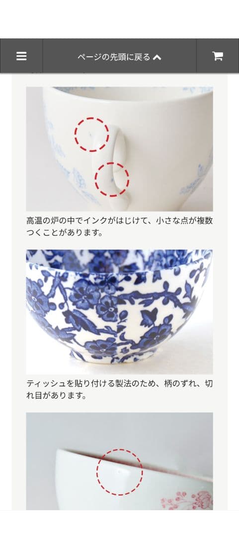 【新品・未使用】Burleigh ビクトリアンチンツ 21.5cmプレート2枚組