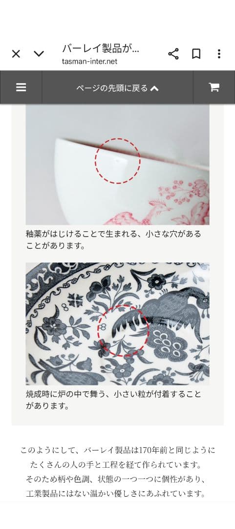 【新品・未使用】Burleigh ビクトリアンチンツ 21.5cmプレート2枚組