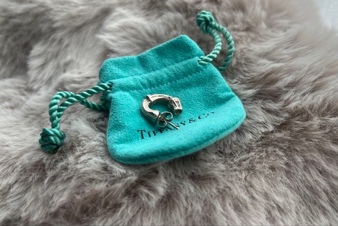 Tiffany & Co. フープピアス 925シルバー