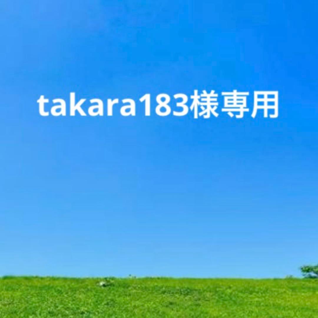 未使用Salvatore Ferragamoレザー長財布　　ピンク 箱付き