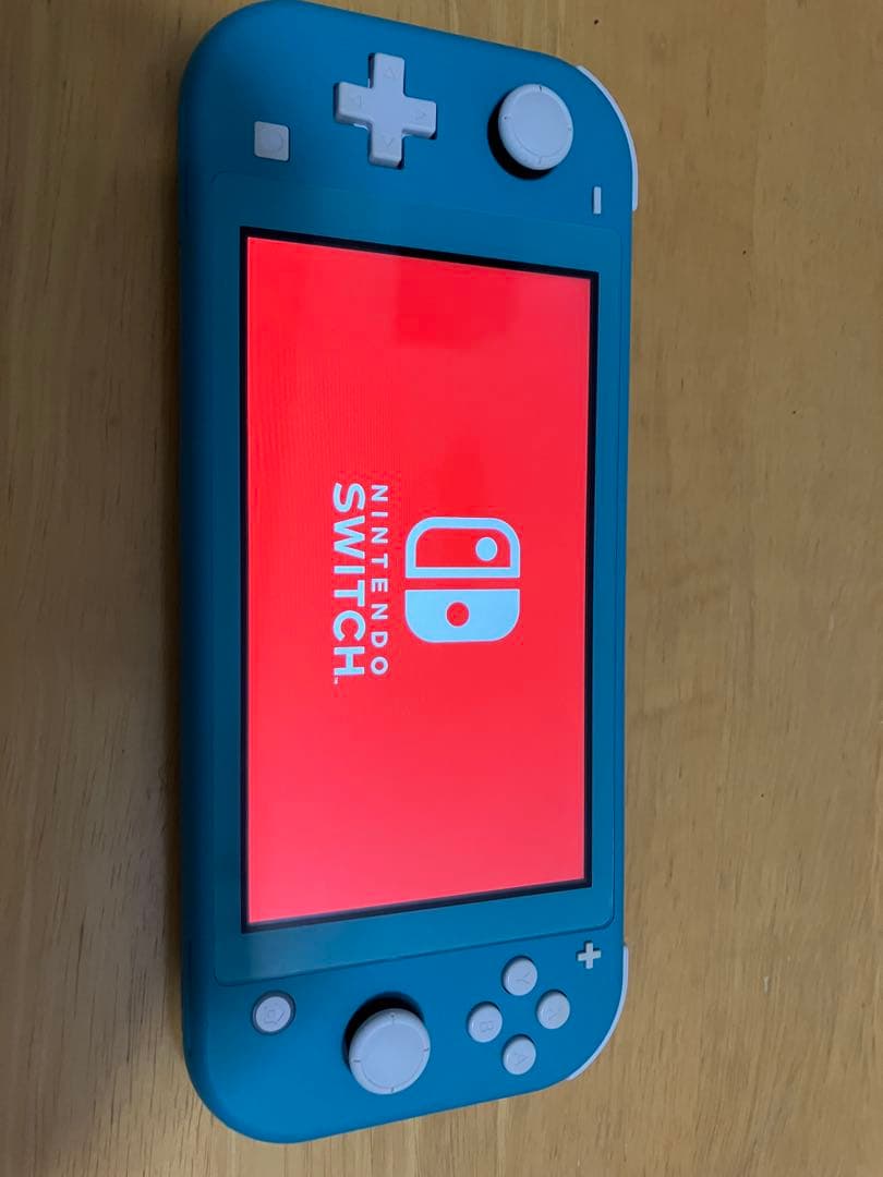 Nintendo Switch Lite ターコイズ　本体、充電器、ケース付き