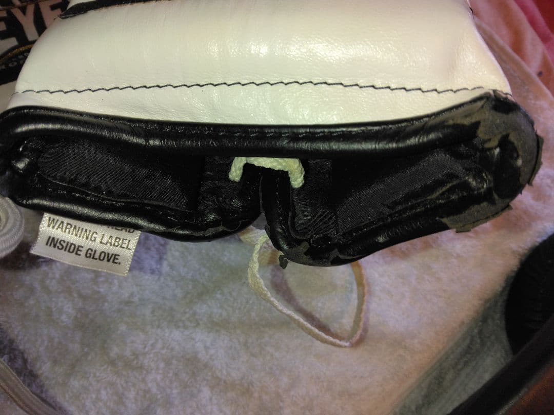 カサノバ、レイジェス　ボクシンググローブ