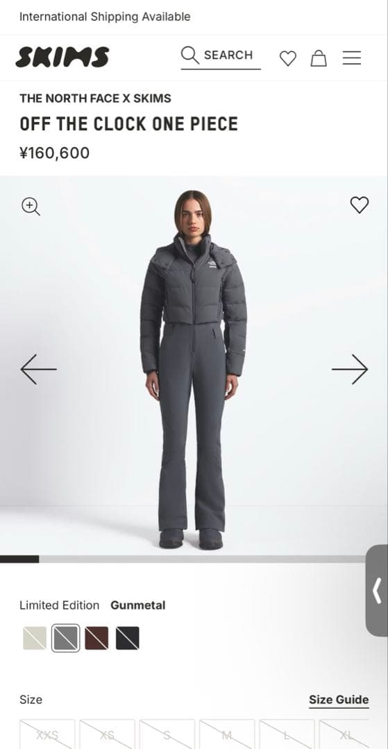 THE NORTH FACE X SKIMS スキースーツ