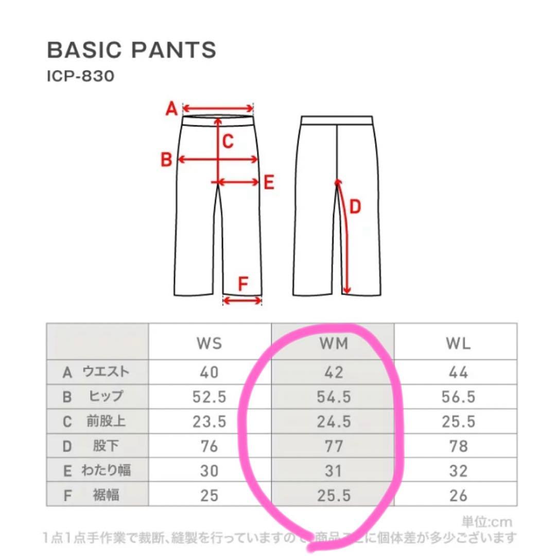 【タグ付き新品未使用】ICEPARDAL スキー／スノボウェア上下セット
