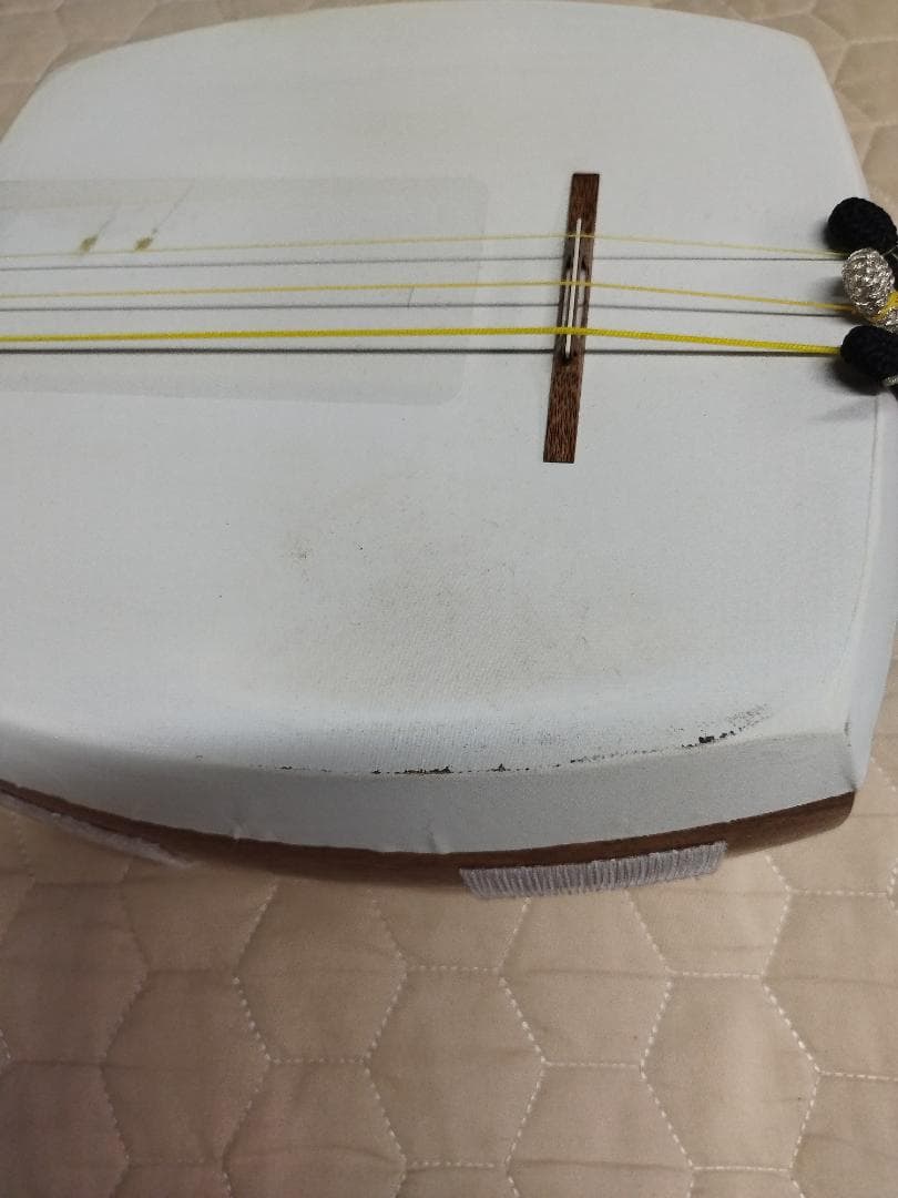 津軽三味線　ネグロブランコ　風音