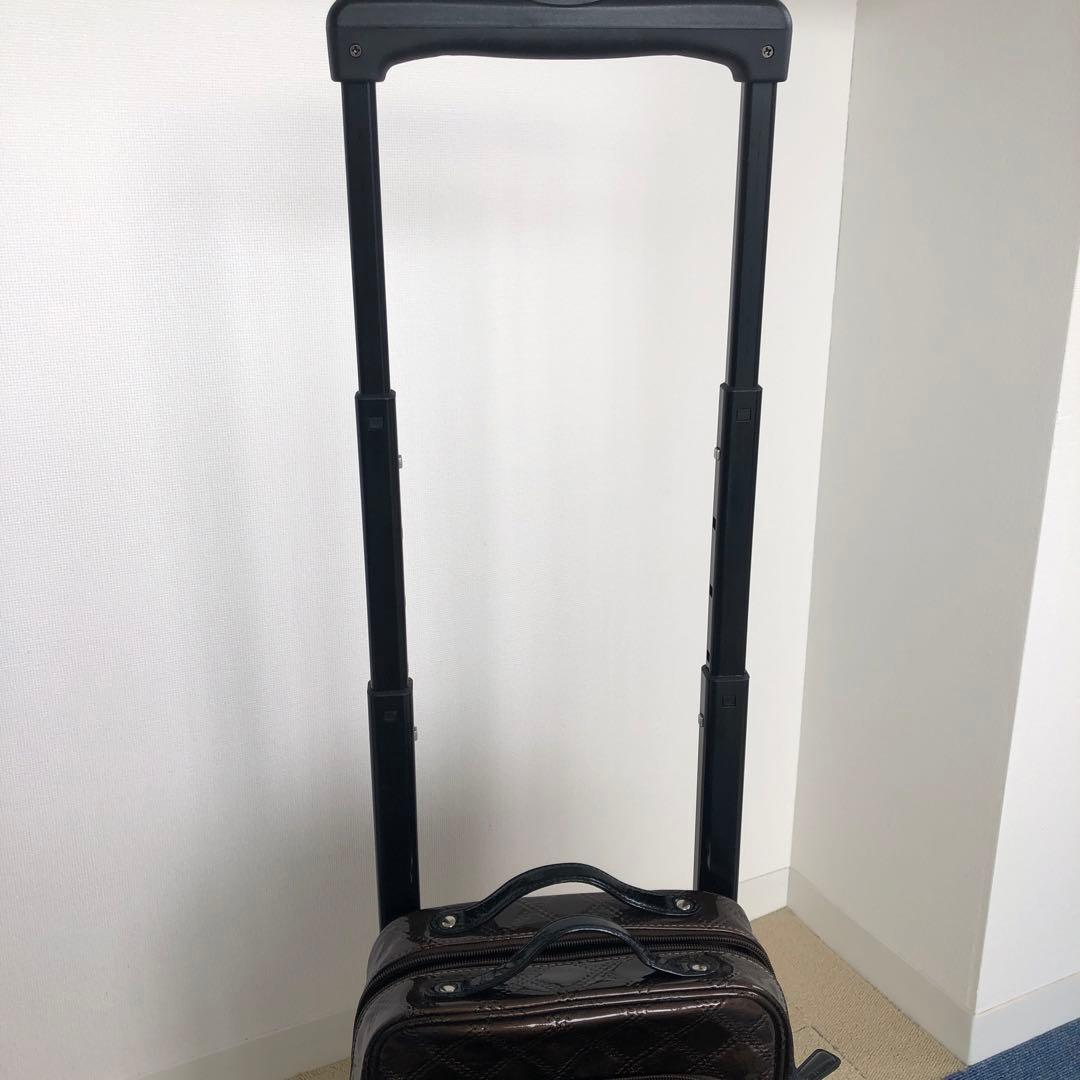 SWANY スワニー エマイロ キャリーバッグ