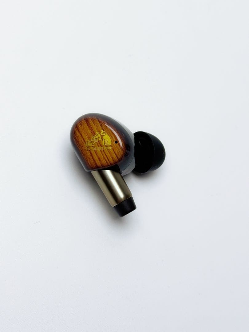 Victor WOOD master HA-FW5000T ワイヤレスイヤホン