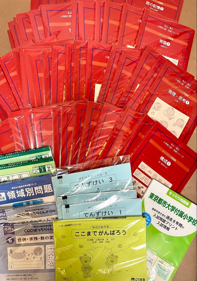 改訂版しんが会オリジナル問題集(赤本)63冊 中古2020年発行＋問題集10冊