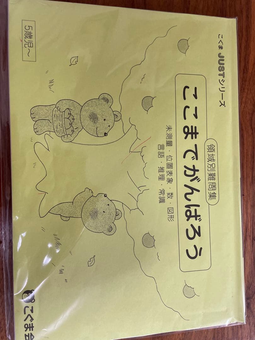 改訂版しんが会オリジナル問題集(赤本)63冊 中古2020年発行＋問題集10冊