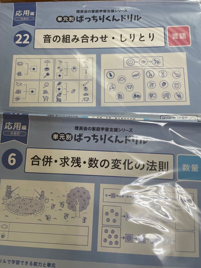 改訂版しんが会オリジナル問題集(赤本)63冊 中古2020年発行＋問題集10冊