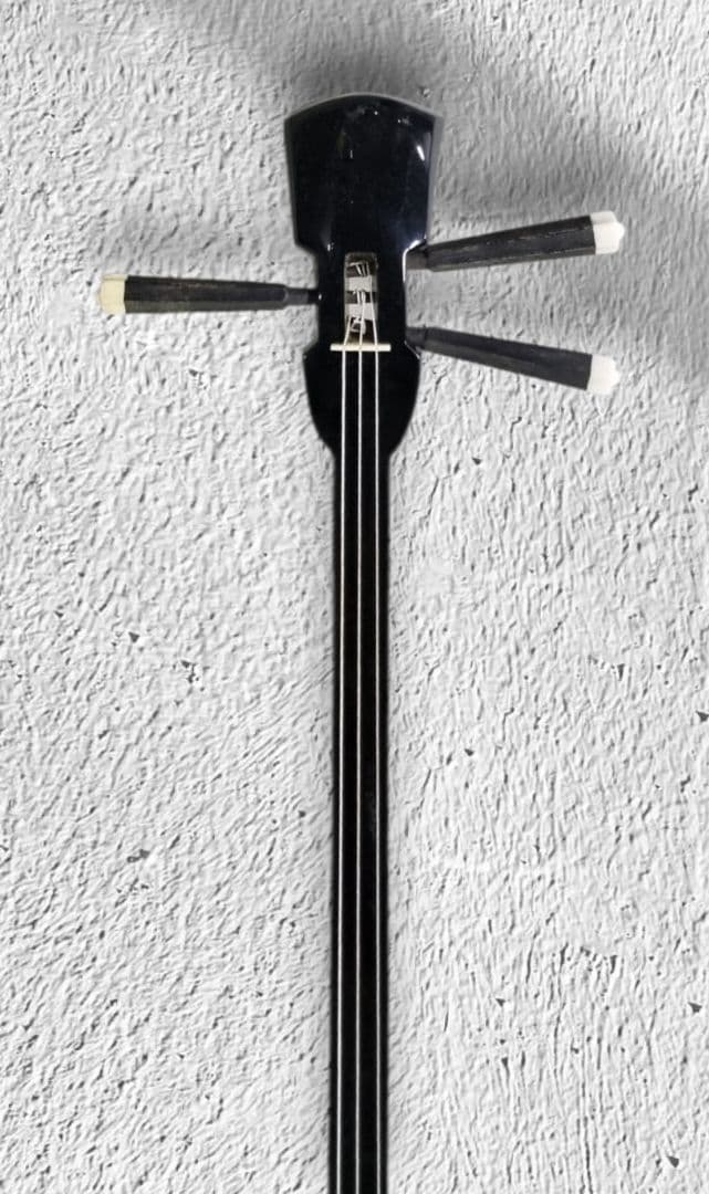 沖縄三線 本体 本格的な本蛇皮仕様 ハードケース付属