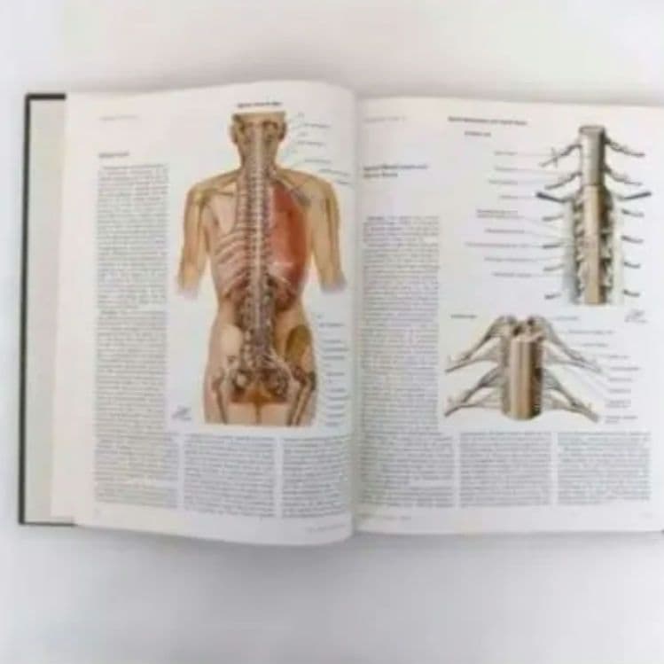 洋書 ・希少 CIBA医学イラスト集第1巻 Ⅰ フランクH.ネッター／英語版