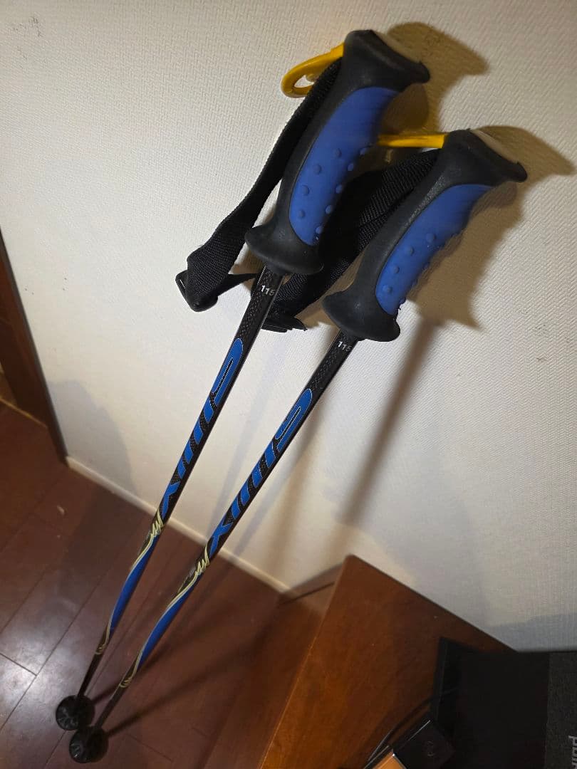 SWIX Cobra CT2 カーボン スキーポール 115cm 競技・上級