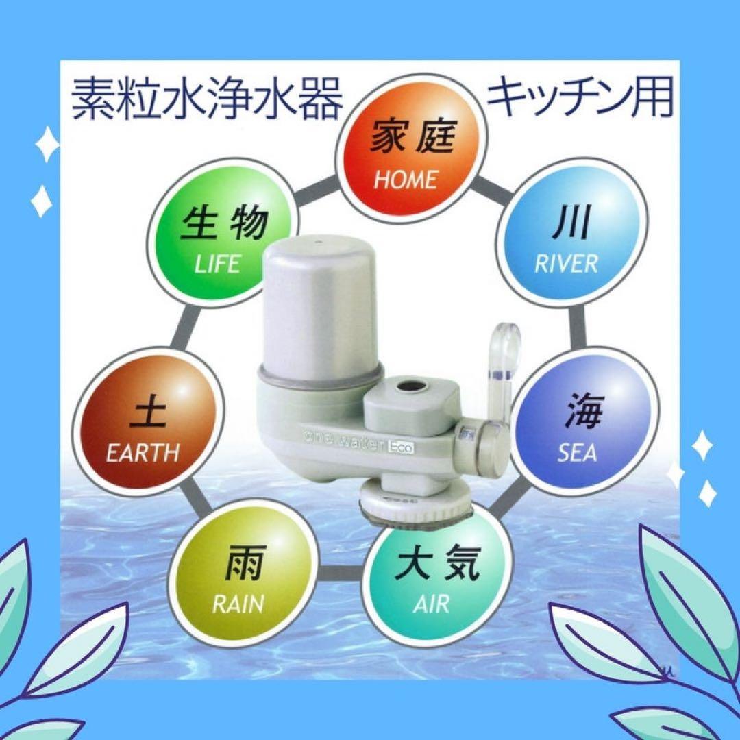 ✨フリーサイエンスカートリッジ✨キッチン用とシャワー用✨2個セット✨レターパック