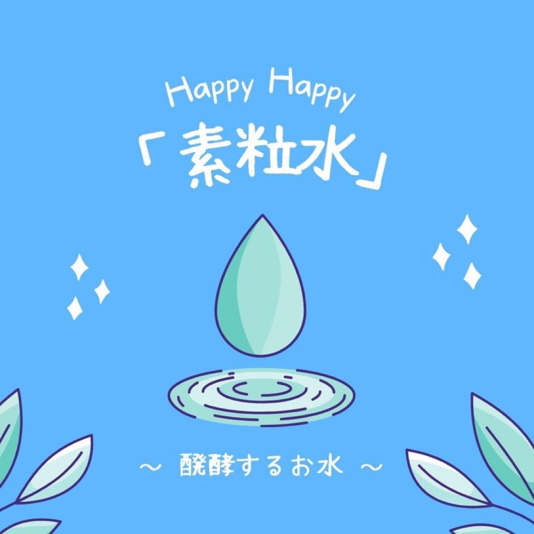 ✨フリーサイエンスカートリッジ✨キッチン用とシャワー用✨2個セット✨レターパック