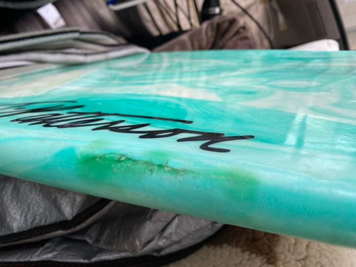 テイムパターソンシエープフィッシュ