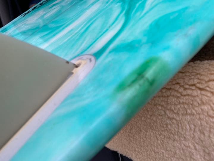 テイムパターソンシエープフィッシュ