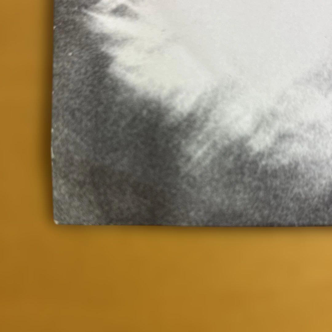 共犯者/ Mr. Kite ミスターカイト レコード　GZ 999