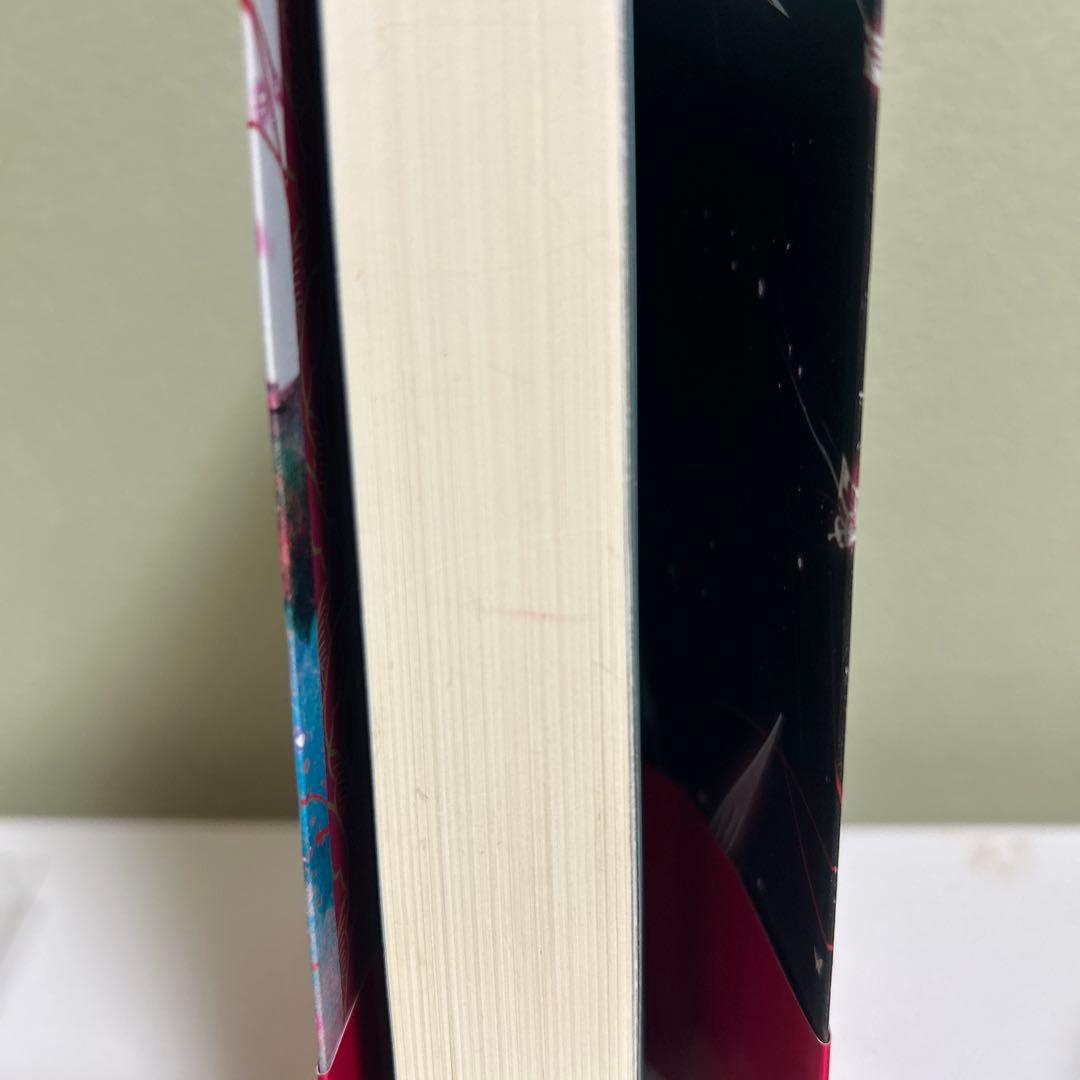 天官賜福　人渣反派自救系統　小説　日本語版