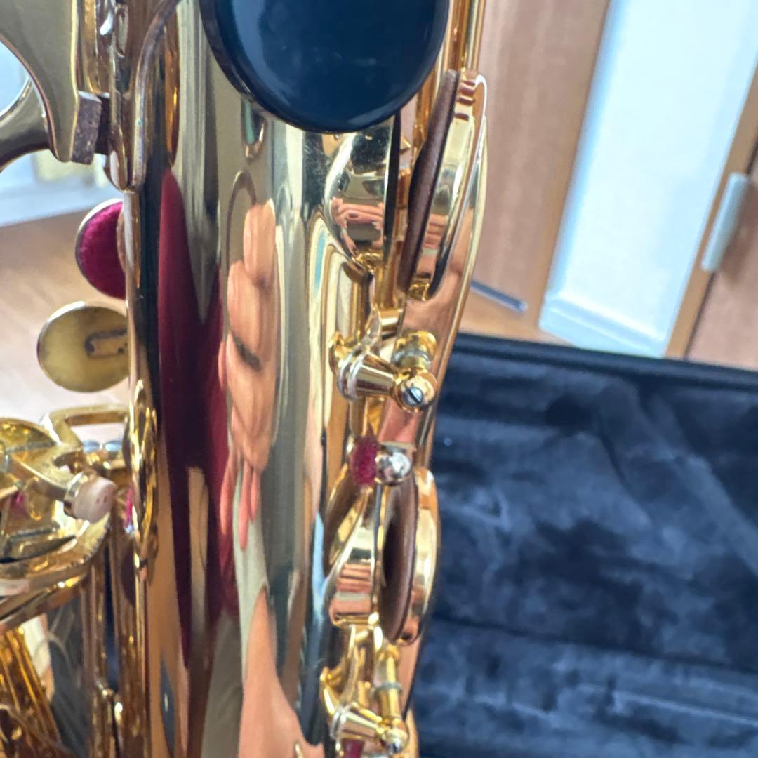 アルトサックス 875ex