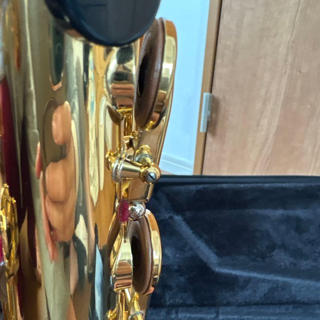 アルトサックス 875ex