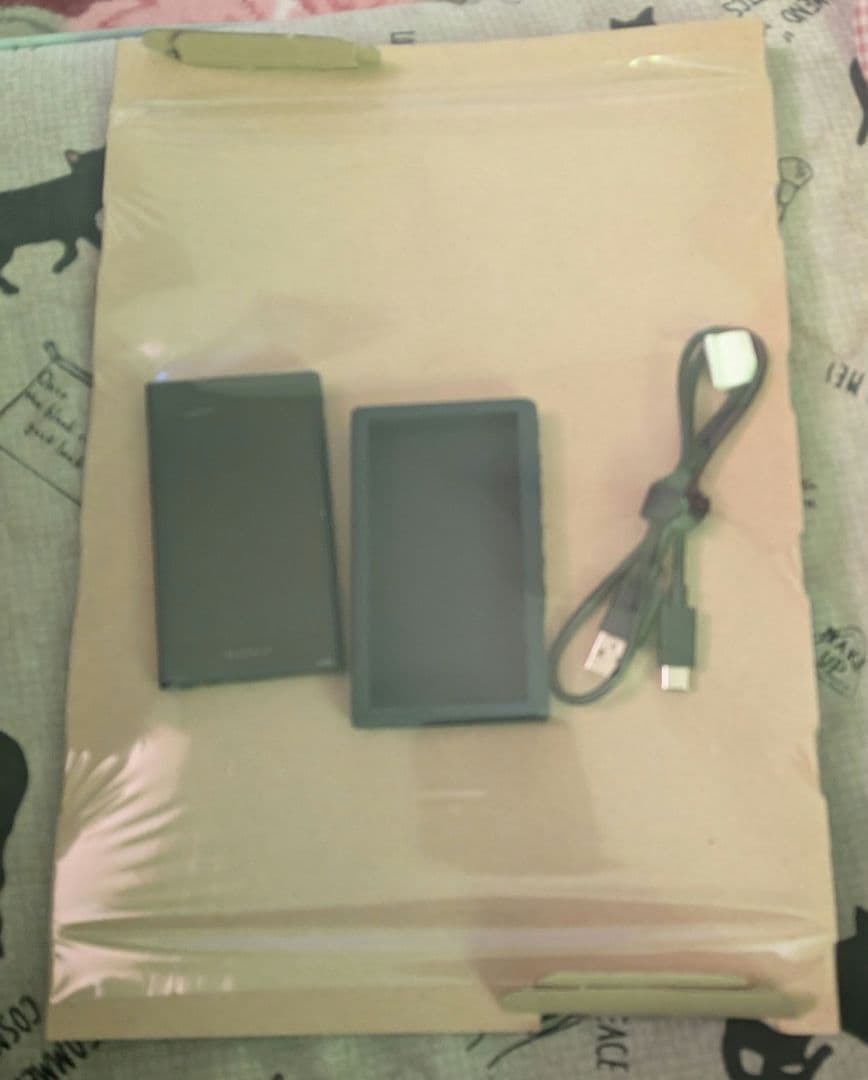 ウォークマンNW-A307