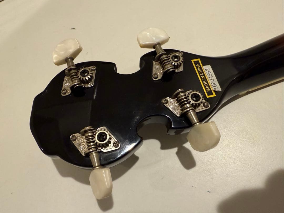 Aria アリア 5弦 バンジョー ハードケース付