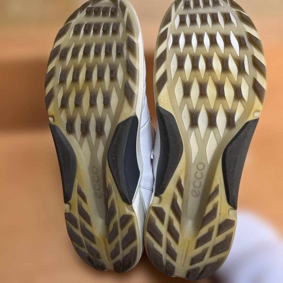 ecco(エコー)メンズゴルフシューズ紐BIOM H4 43箱付き