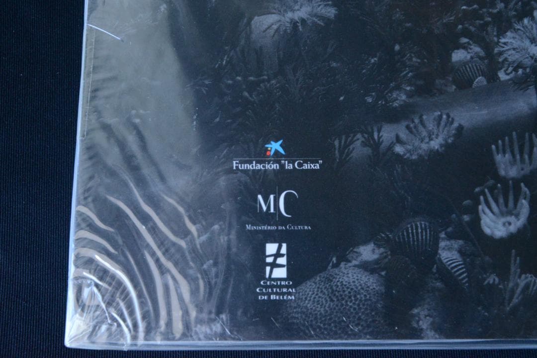 【Sugimoto ：hiroshi sugimoto】杉本博司　★新品・未読品