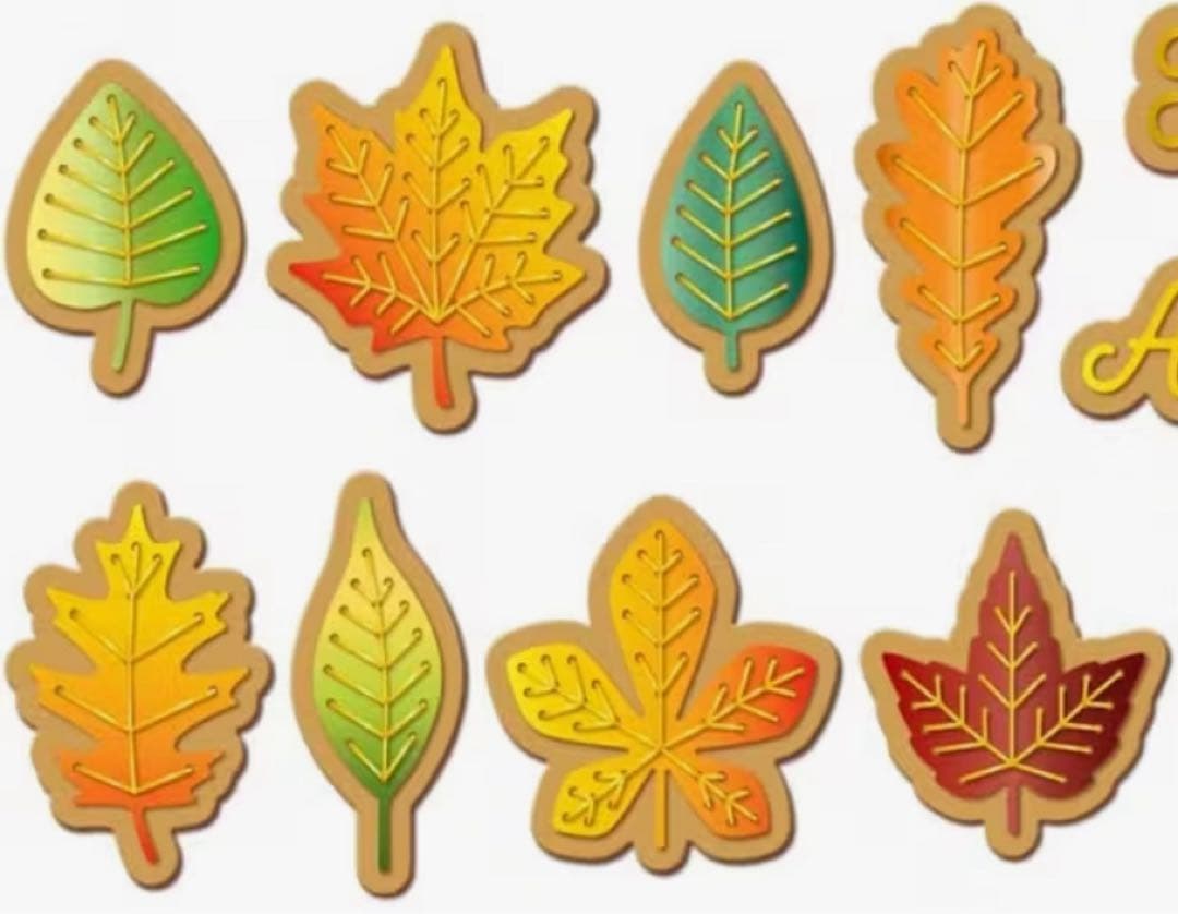 (*^▽^*)❤︎❤︎❤︎