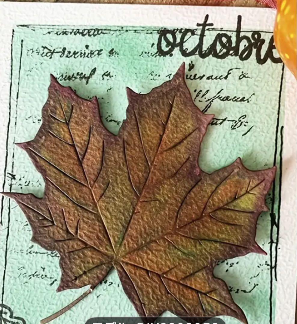 (*^▽^*)❤︎❤︎❤︎