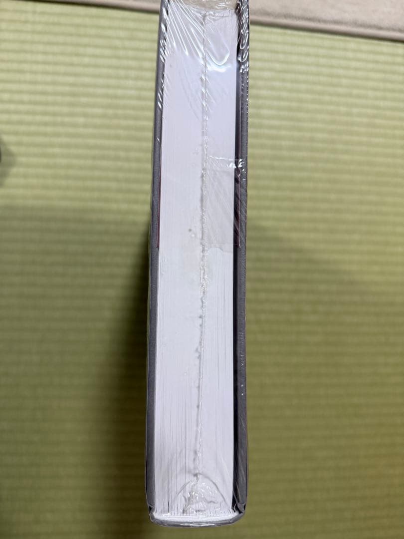 新品未開封 セバスチャン・サルガド GENESIS