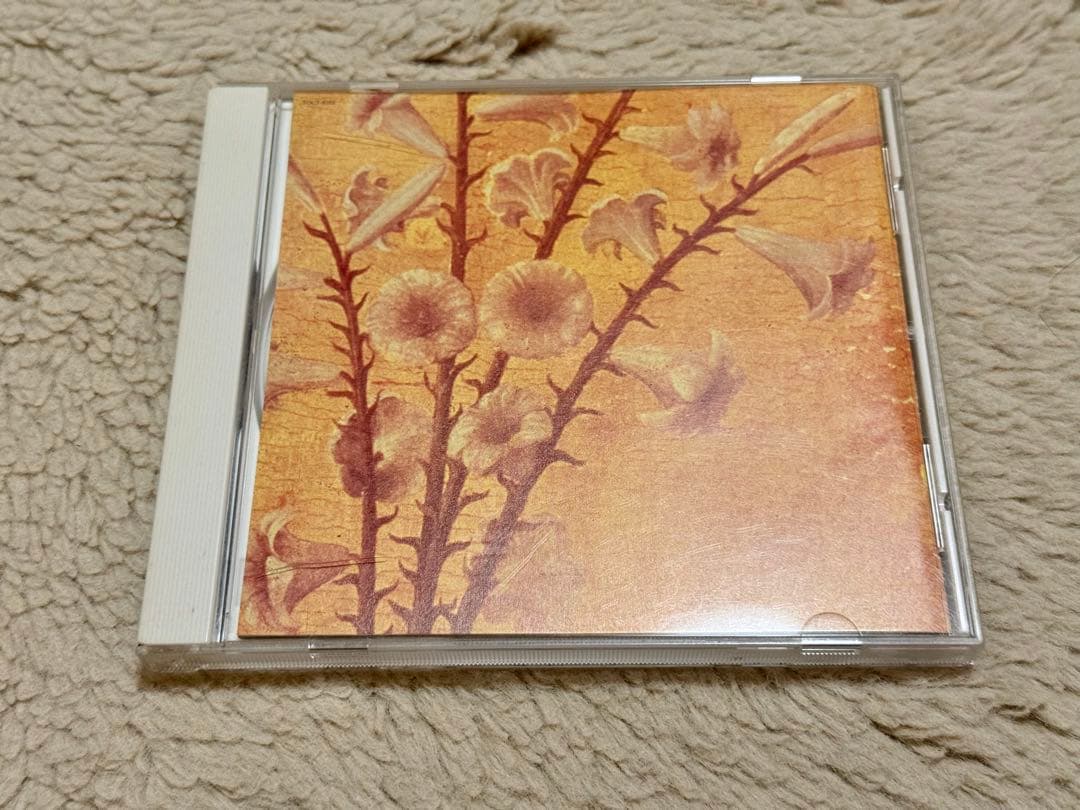 黒夢 短命の百合達 DVD セット