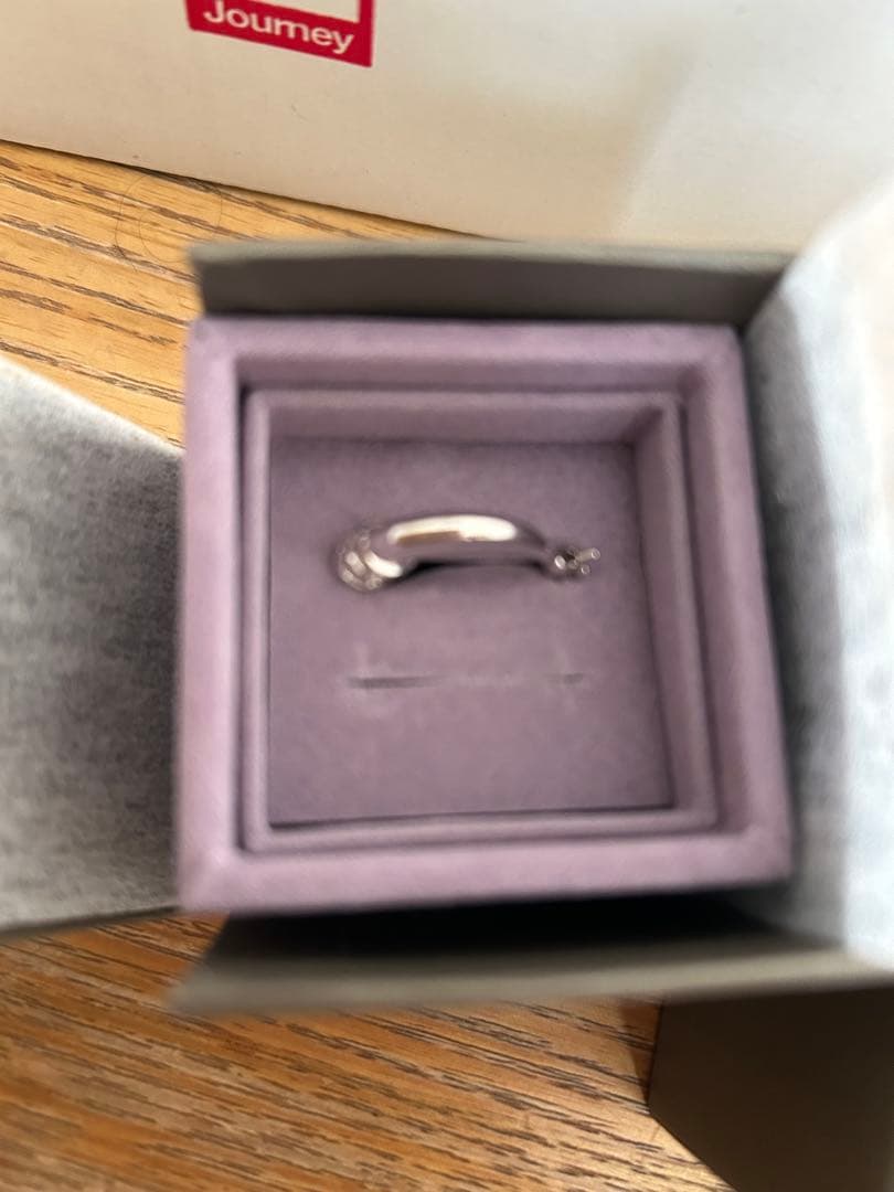 シルバー PJロゴ POINTLESS JOURNEY KingGnu常田大希