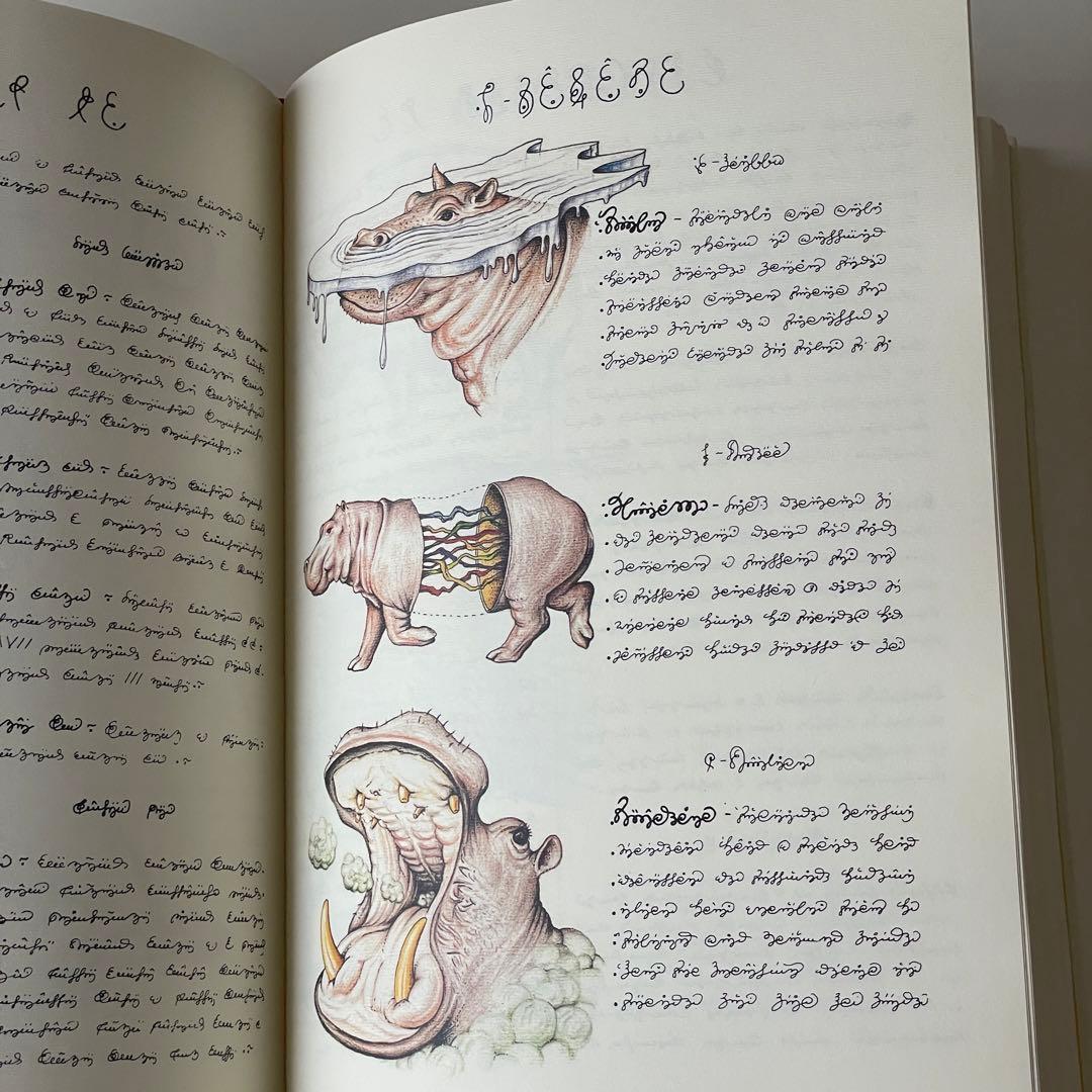 コデックス セラフィニアヌス Codex Seraphinianus 作品集