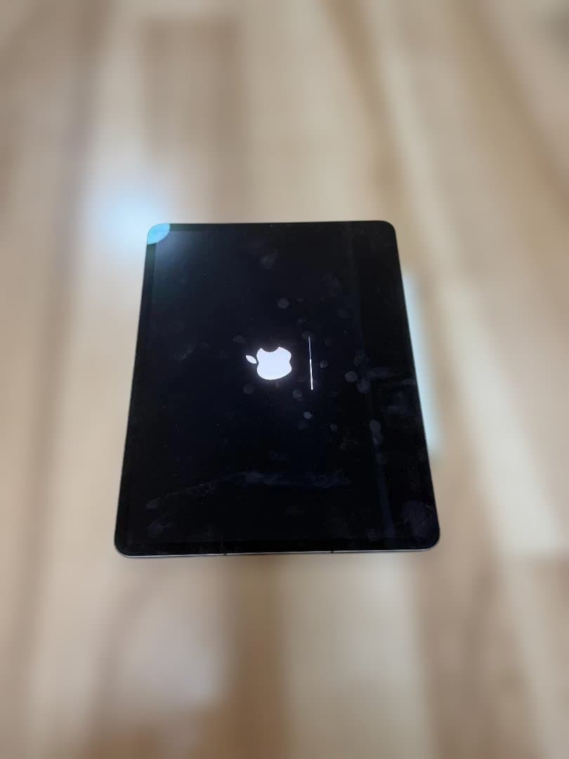 iPad Pro 12.9インチ (第5世代) Cellularモデル